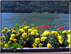 foto Lago di Alleghe